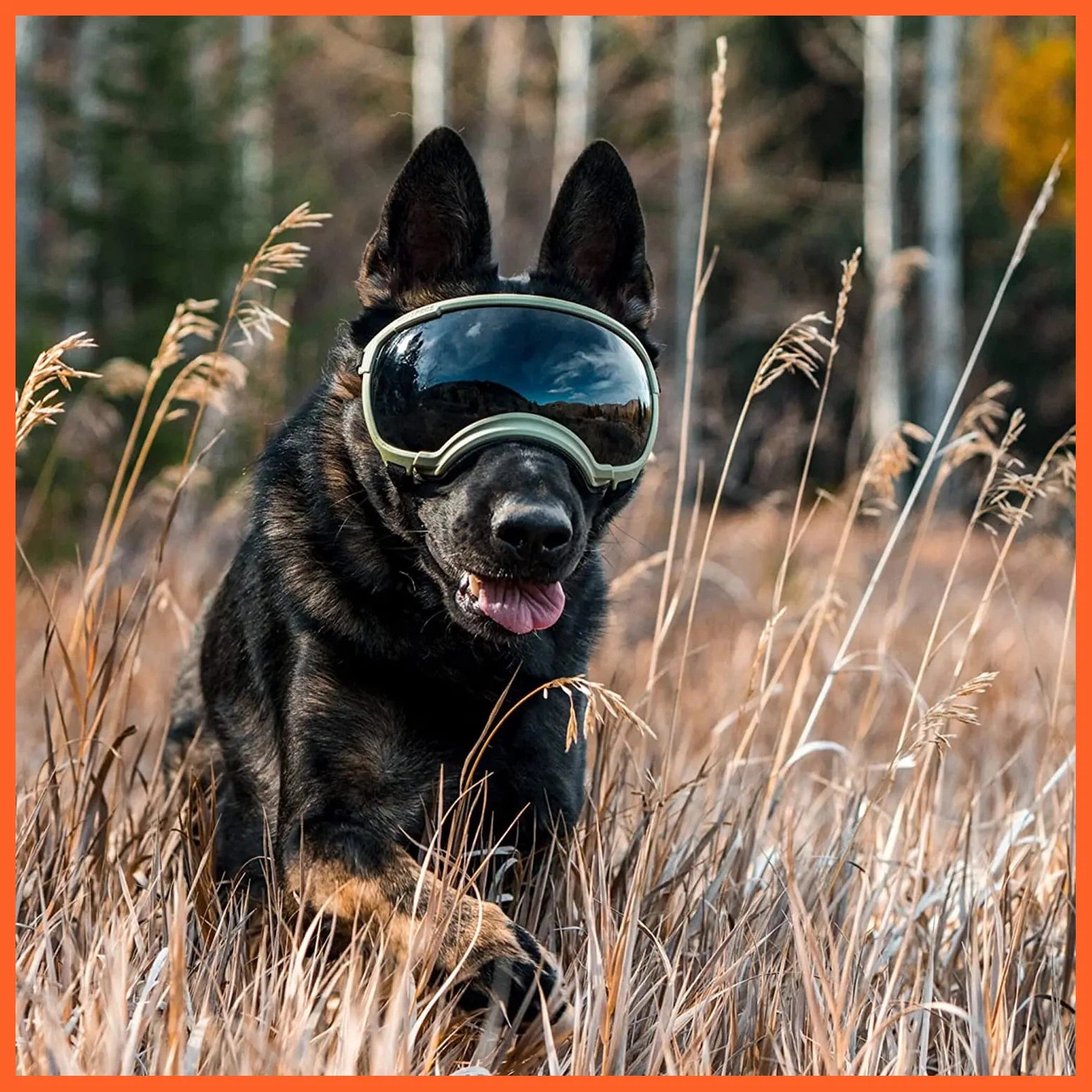 Dog Goggles Anti Uv Strong Impact Resistance Adjustable Elastic Puppy Large Breed Dog Goggles Breathable Pet Sunglasses