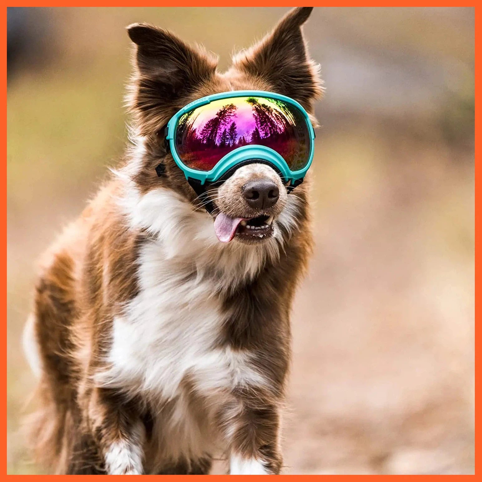 Dog Goggles Anti Uv Strong Impact Resistance Adjustable Elastic Puppy Large Breed Dog Goggles Breathable Pet Sunglasses