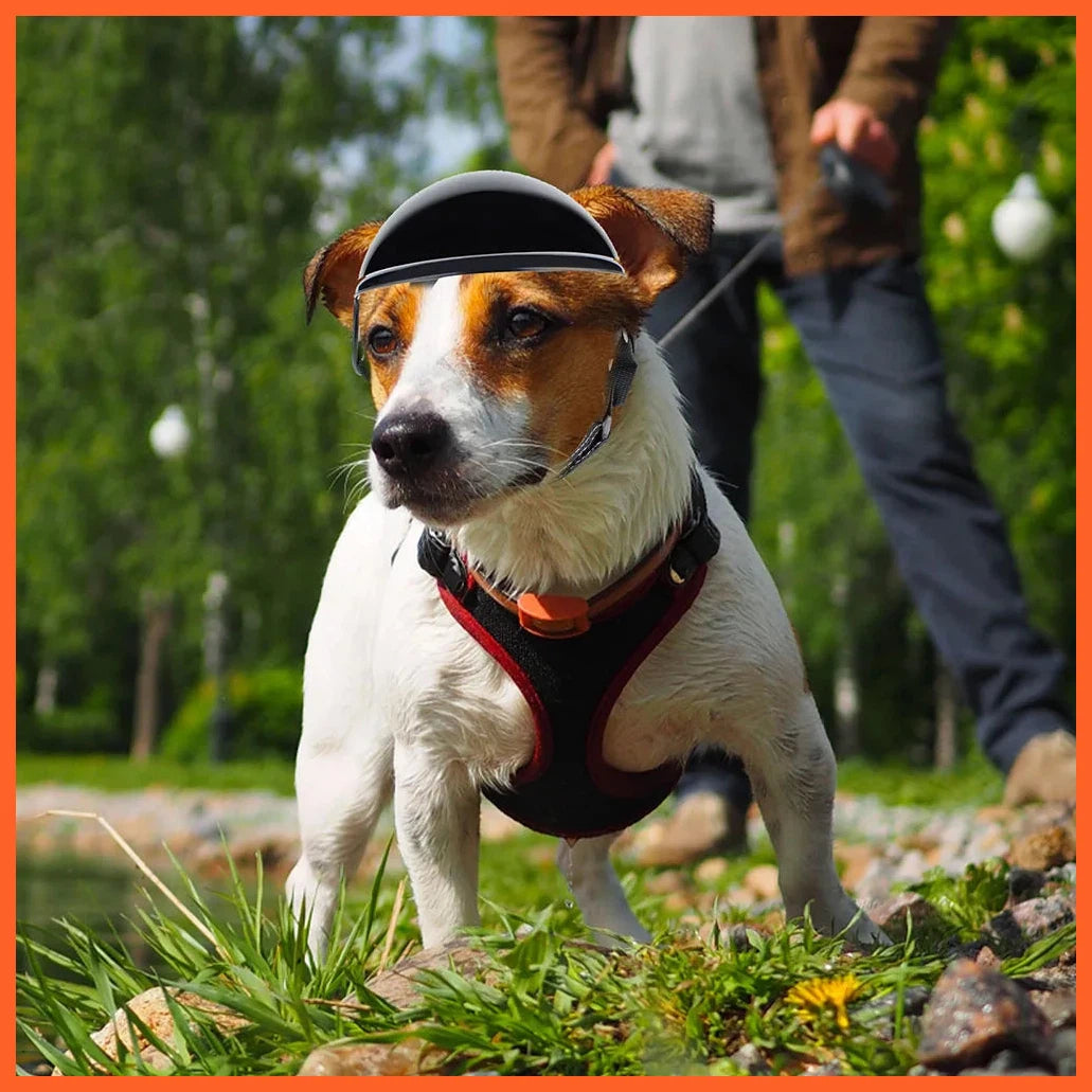 Pet Motorcycle Safety Helmet Adjustable Size Double Hole Design Soft Elastic Headwear Dog Cat Accessories