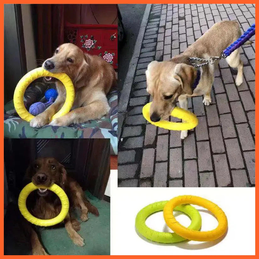 Dog Toys Pet Flying Disk Training Ring Puller Anti-Bite Floating Interactive Supplies Dog Toys Aggressive Chewing